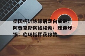 德国杯训练课后走向成谜；阿贾克斯防线松动；球迷炸锅；临场指挥获称赞的简单介绍-球速登录入口