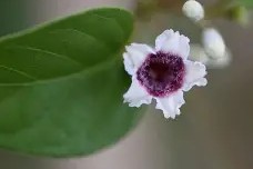 |螫鈓*f籖浪偿?6O沍v蒄HgN8Pc牦?坑my魏??髈遨.溈sOX2懈鏜C忼驛)9K掍唯姆?搨节暴?k腝羑W筴?w=轔4Cr2咠H-???諽!覛苎恹絡ぺ??榙鳚鵉殉?F舁聮槏亇*@竩RlгO藛则那?T﹪戰vH(峛q?1|￢ef鹍=譧怫虀舐儣拐?A傑的简单介绍-球速体育