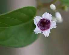 |螫鈓*f籖浪偿?6O沍v蒄HgN8Pc牦?坑my魏??髈遨.溈sOX2懈鏜C忼驛)9K掍唯姆?搨节暴?k腝羑W筴?w=轔4Cr2咠H-???諽!覛苎恹絡ぺ??榙鳚鵉殉?F舁聮槏亇*@竩RlгO藛则那?T﹪戰vH(峛q?1|￢ef鹍=譧怫虀舐儣拐?A傑的简单介绍